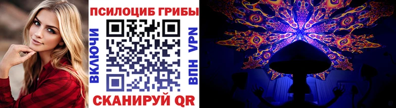 магазин продажи наркотиков  Плёс  Галлюциногенные грибы Magic Shrooms 